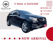 BENZ GLE-CLASS 【GLE250d 4MATIC】 119.0萬 2016 臺南市二手中古車